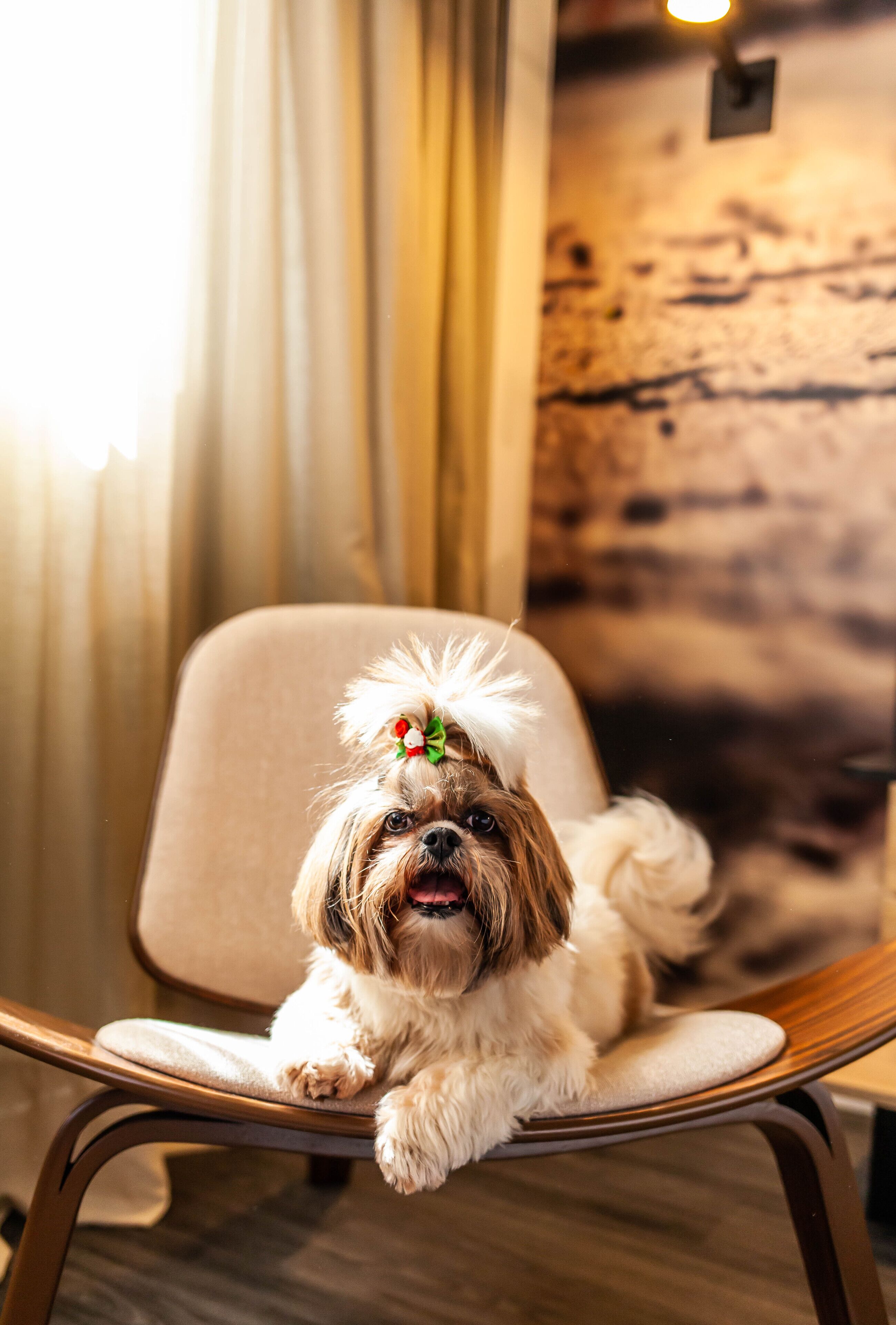 executive room, 1 double bed | pillow-top beds, minibar, in-room safe, desk