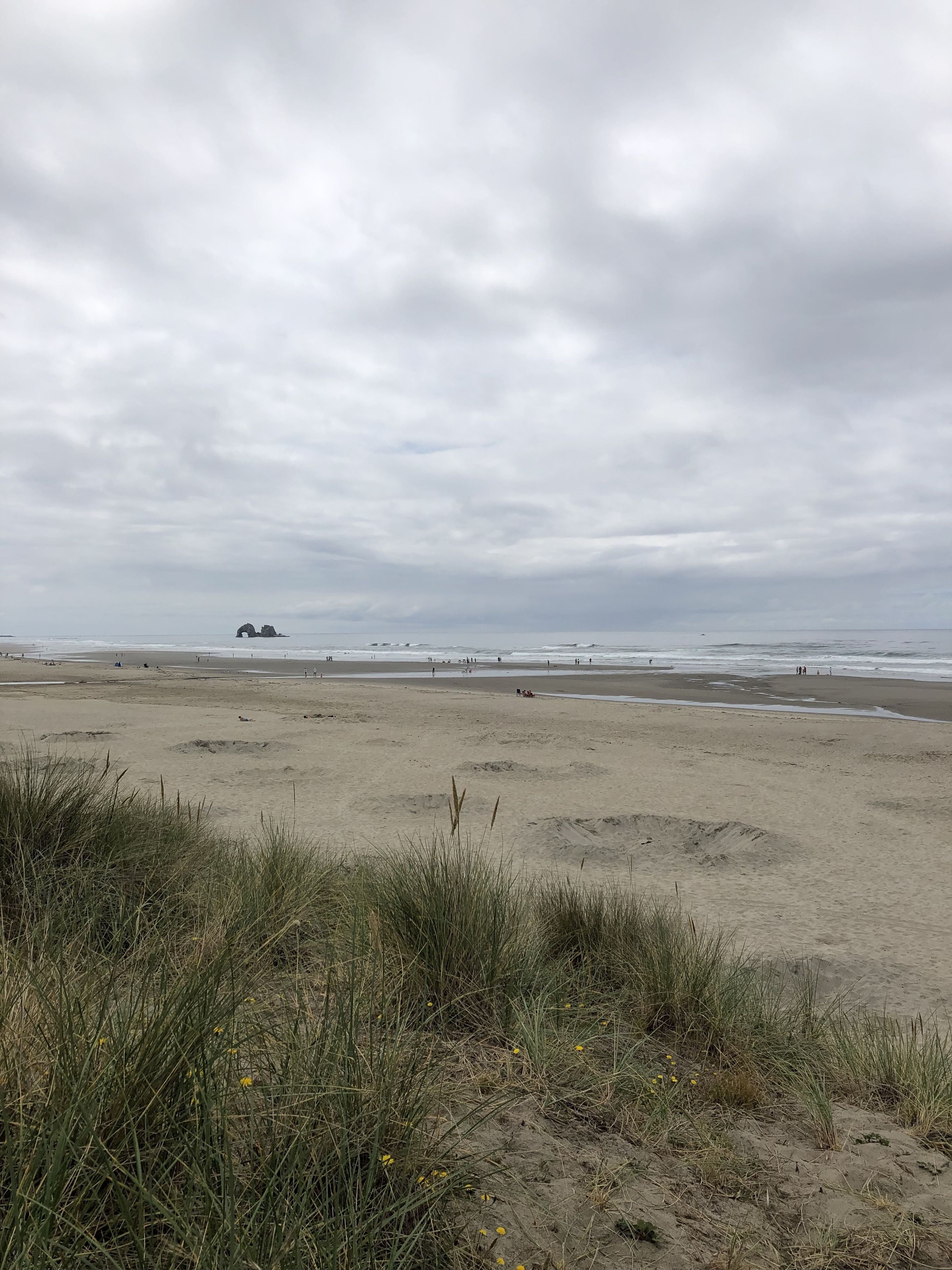A beach with sand and grass in the foreground, and a cloudy sky in the background.