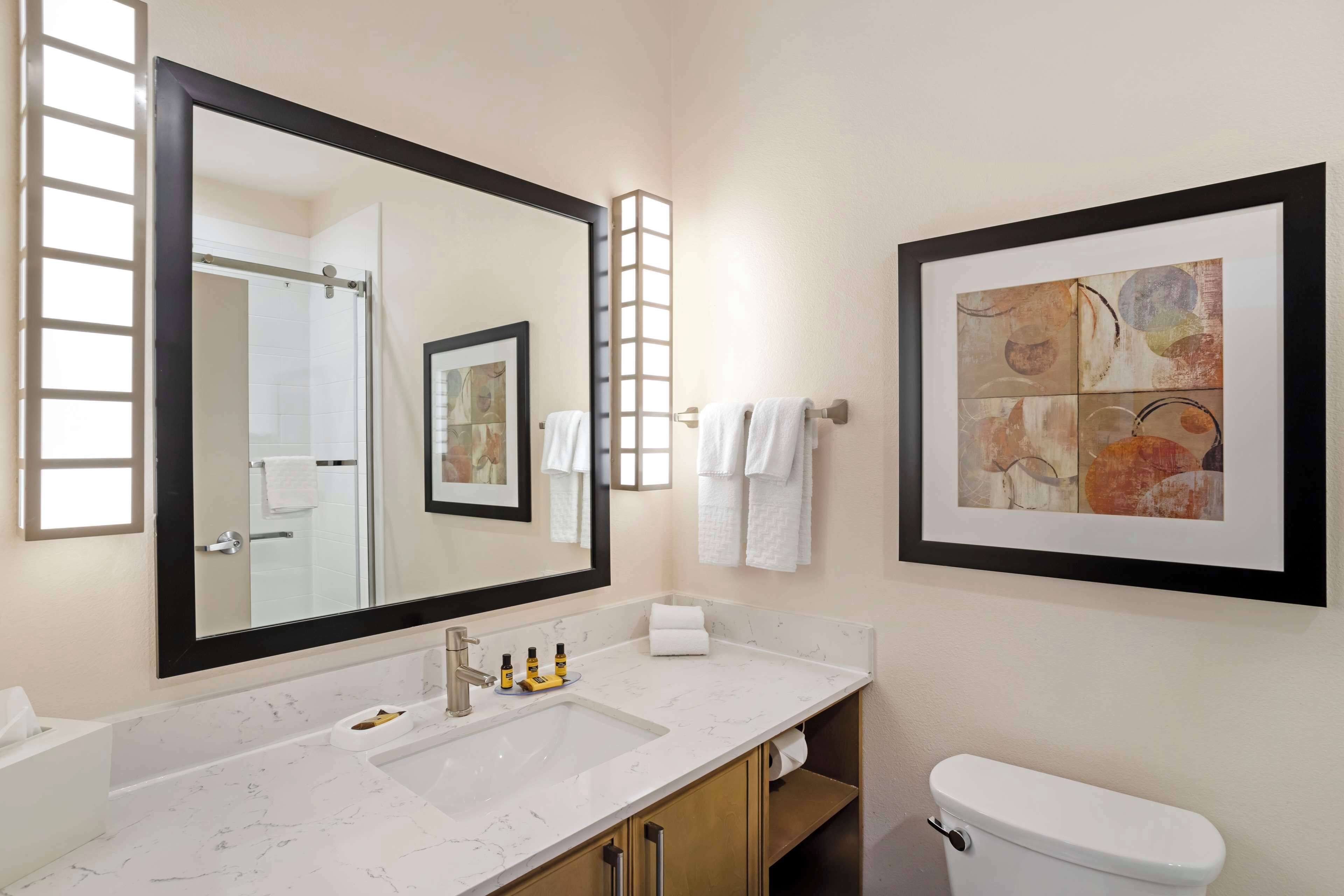 standard room, 1 king bed, non smoking, refrigerator & microwave | bathroom | free toiletries, hair dryer, towels, soap