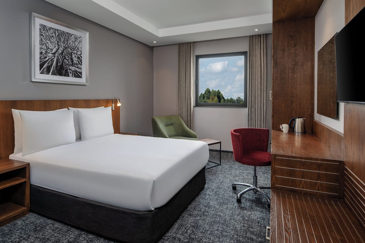 A hotel room with a large bed, a desk with a chair, a TV, a window with a view of trees, and a framed picture on the wall.
