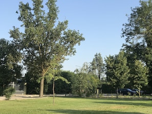 A park with a grassy area, trees, a fence, and parked cars. - Villa Pepoli (Occhiobello)