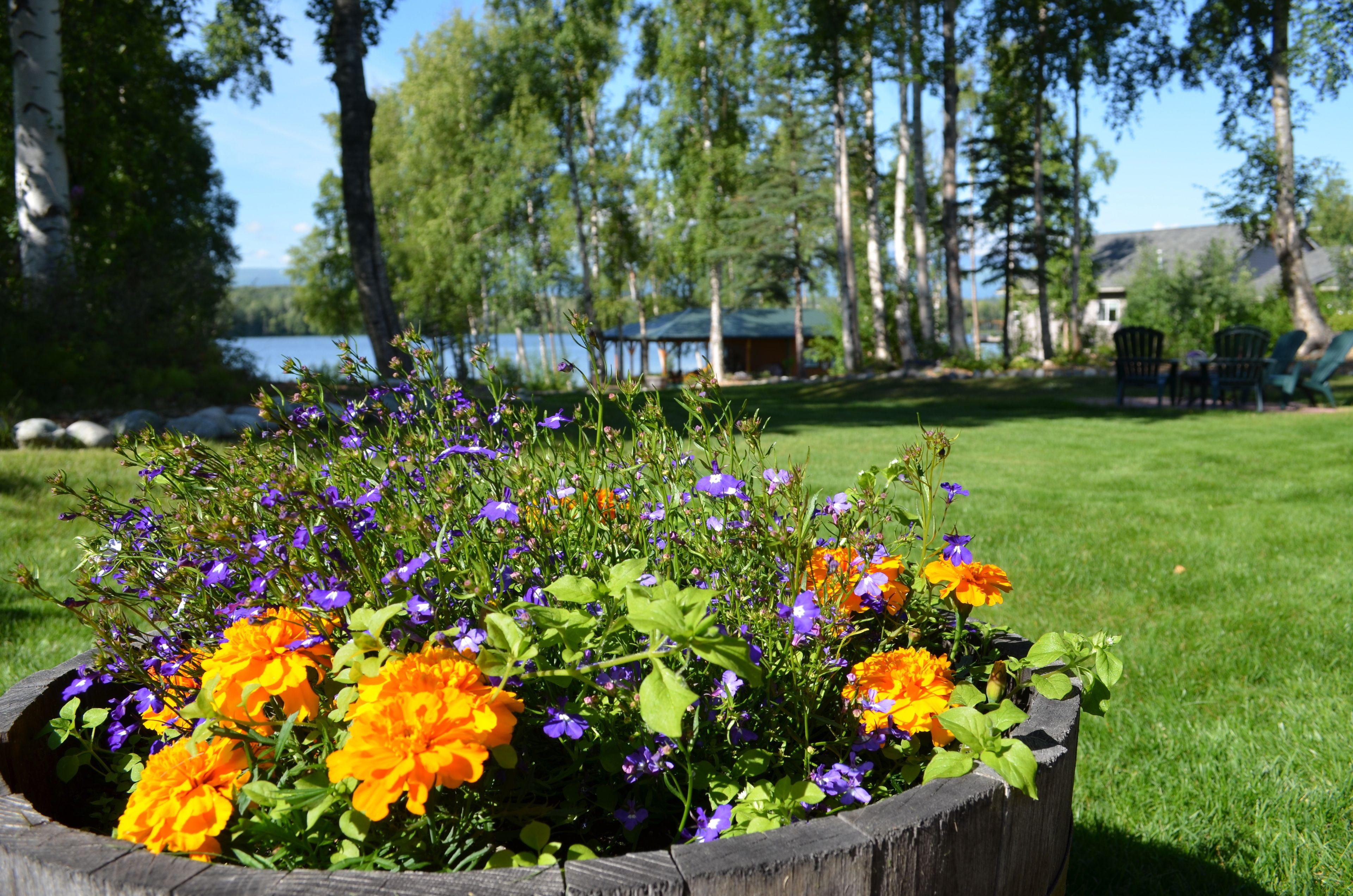 Garden