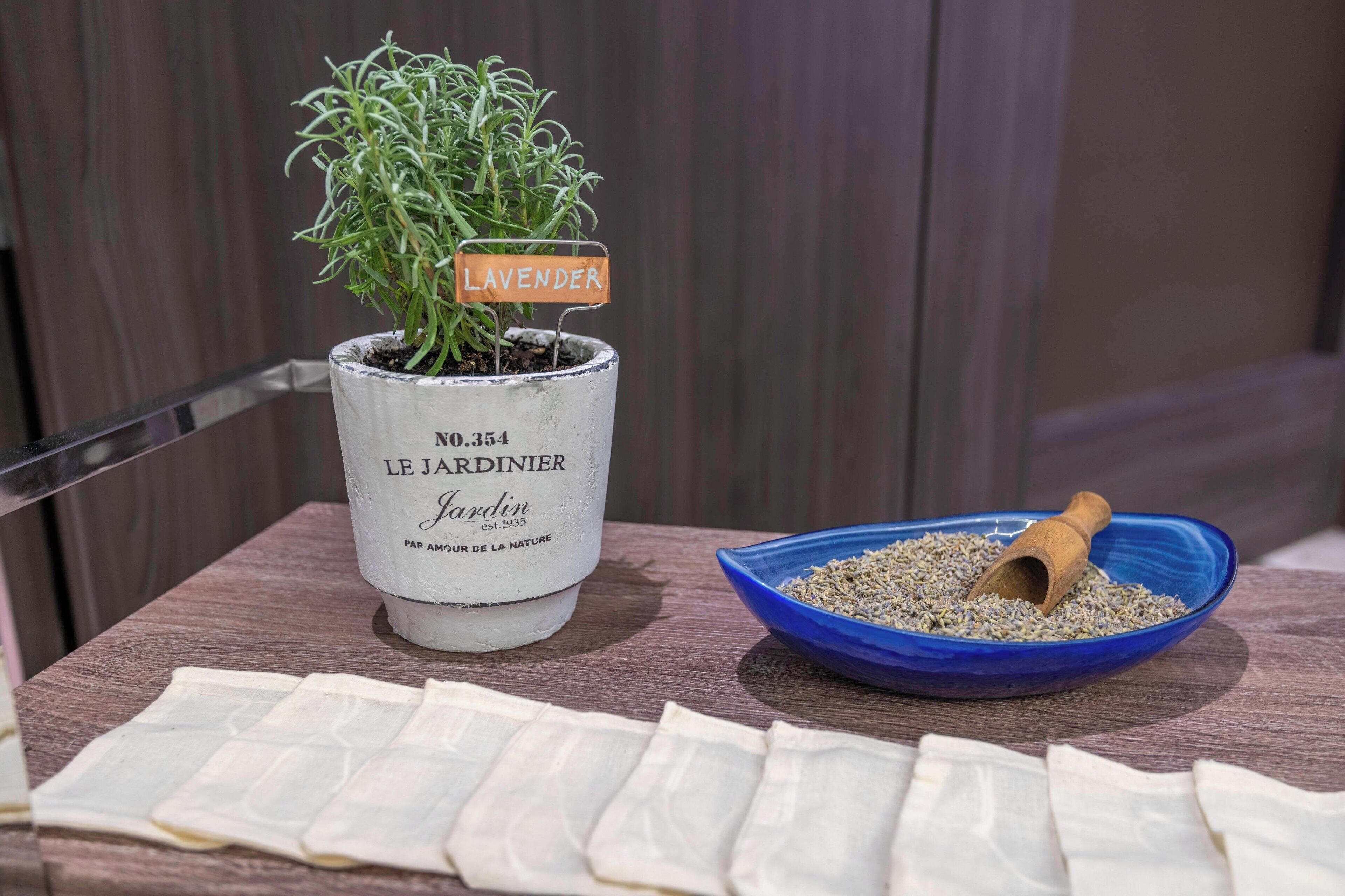 Una planta de lavanda en maceta, con la etiqueta 'Lavender', y un cuenco azul con semillas de lavanda sobre una mesa de madera.