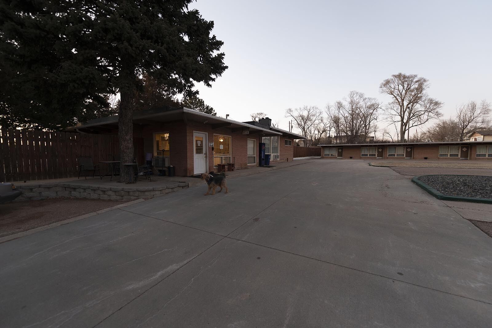 A building with a covered outdoor area, a paved driveway, and a dog walking.