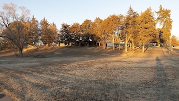 Servizio della struttura