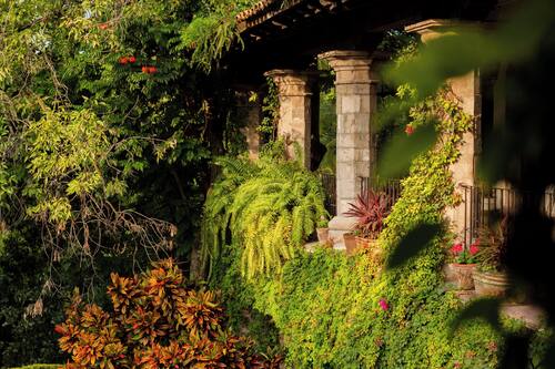 Blick auf den Garten