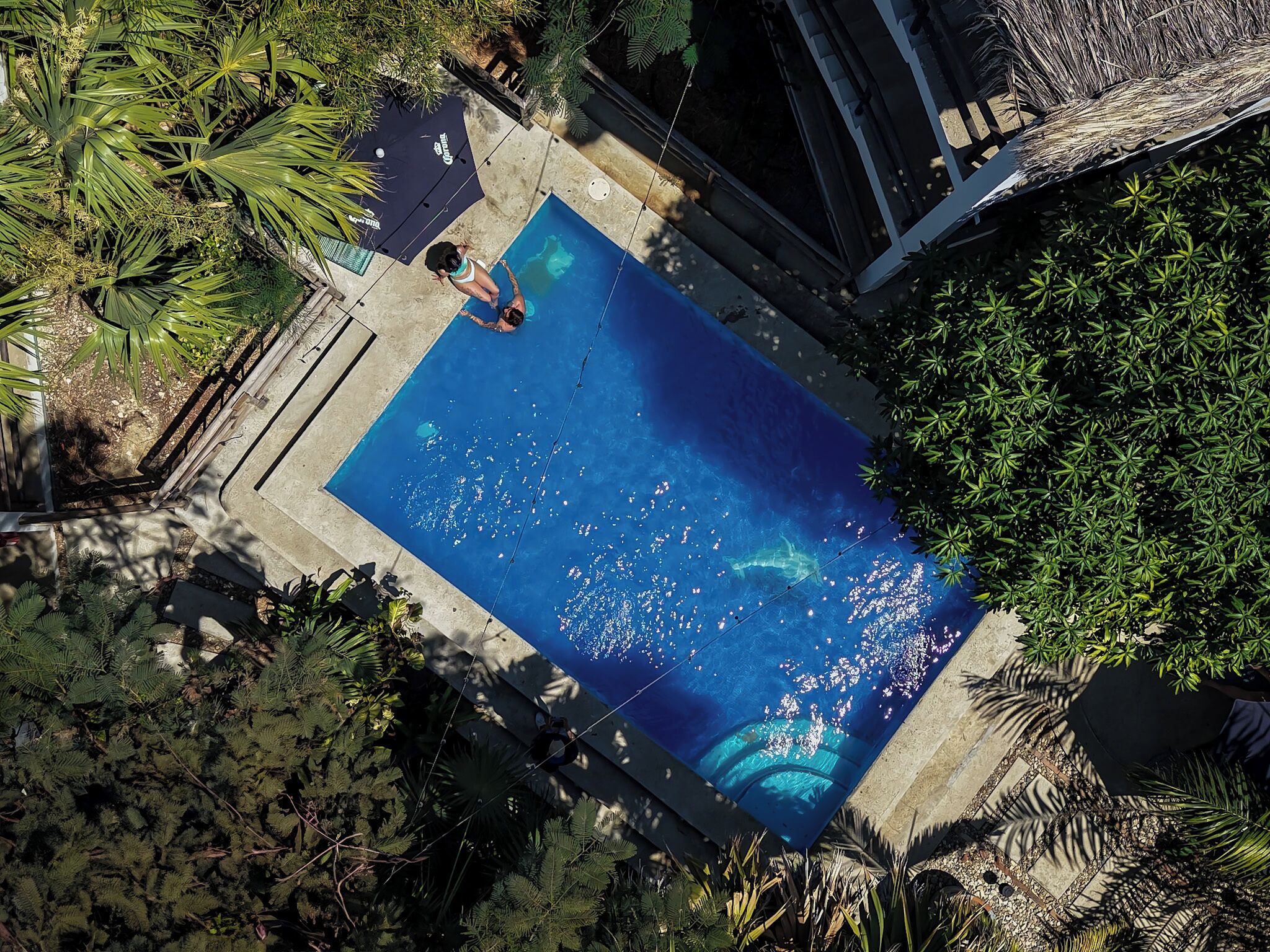 Foto - Nílu Puerto Escondido by Selina