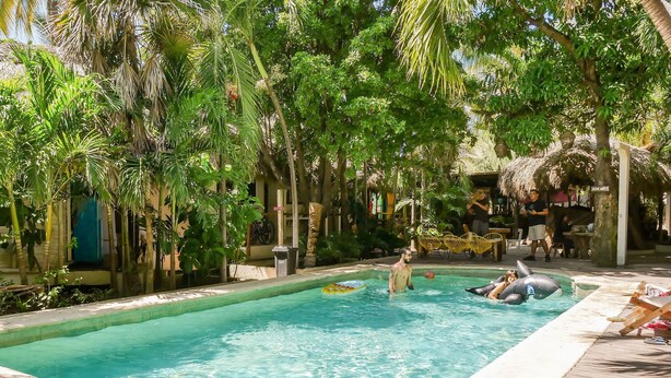 Un espace piscine doté d’une terrasse en bois, entouré d’une végétation luxuriante et de palmiers.