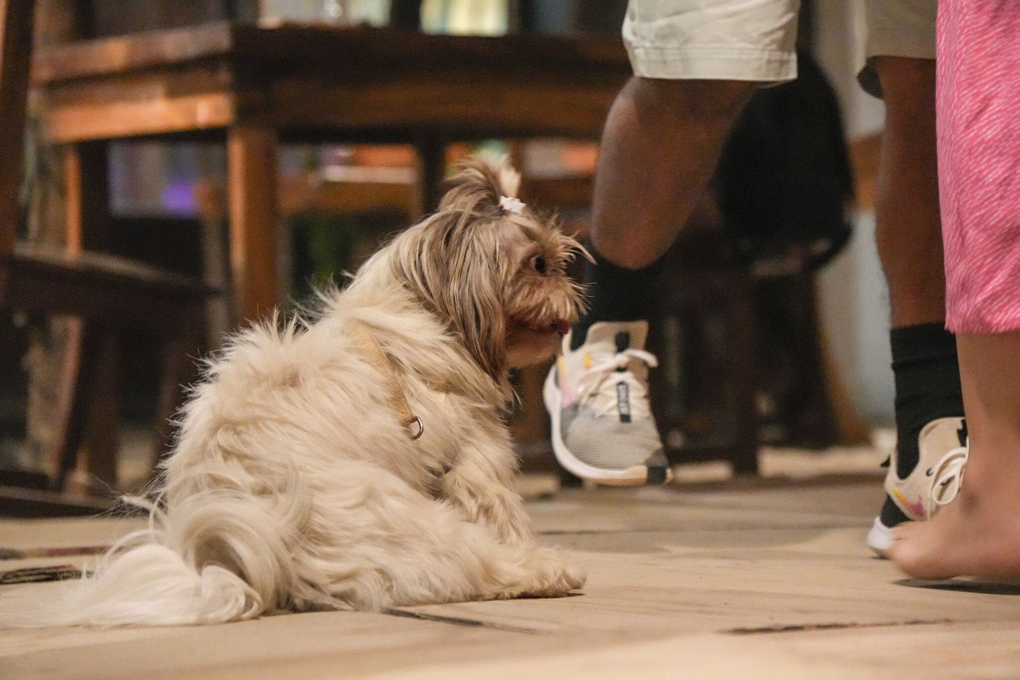 Photo - Nílu Puerto Escondido by Selina