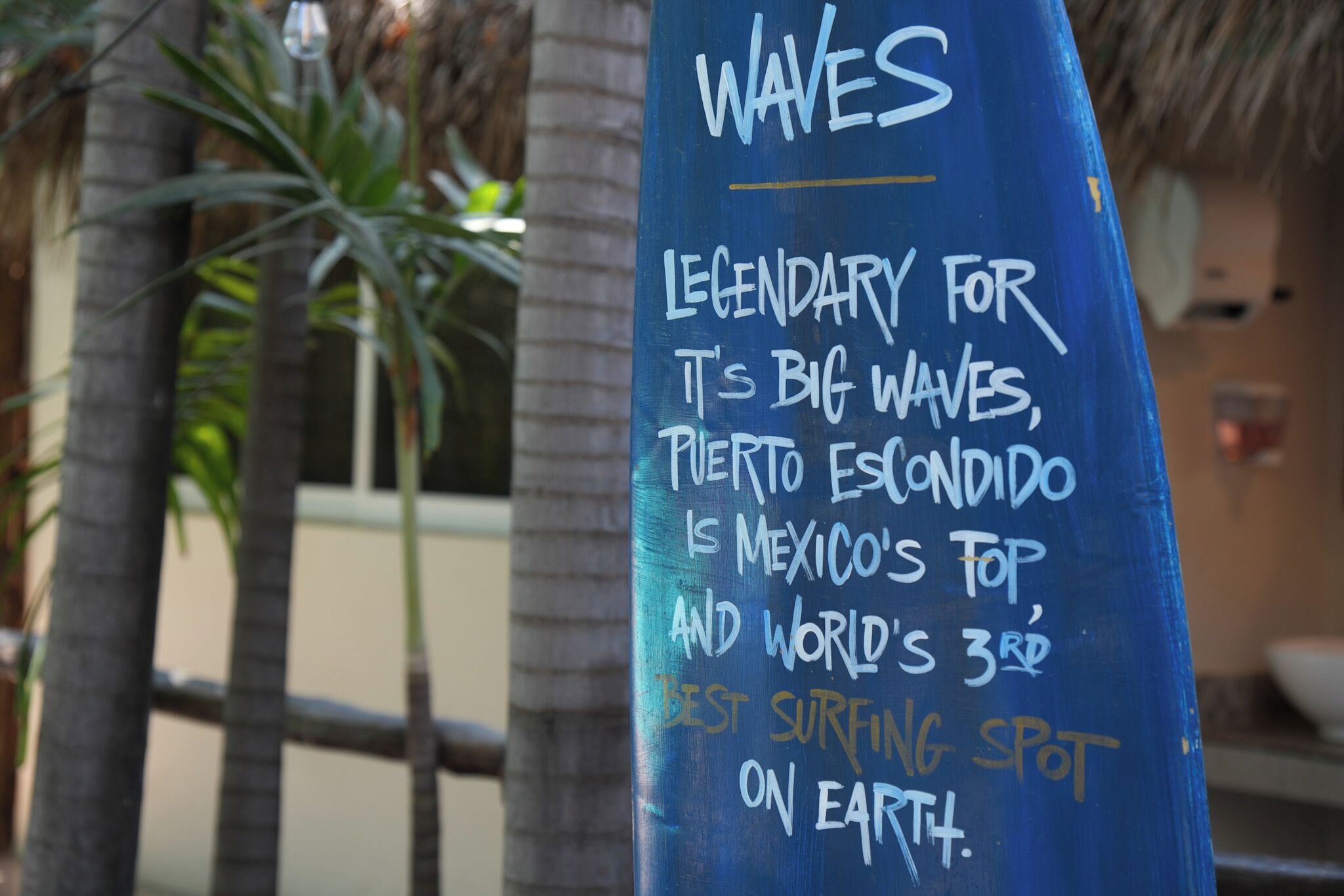 Photo - Nílu Puerto Escondido by Selina