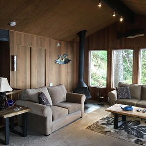 TV, video games, DVD player, toys