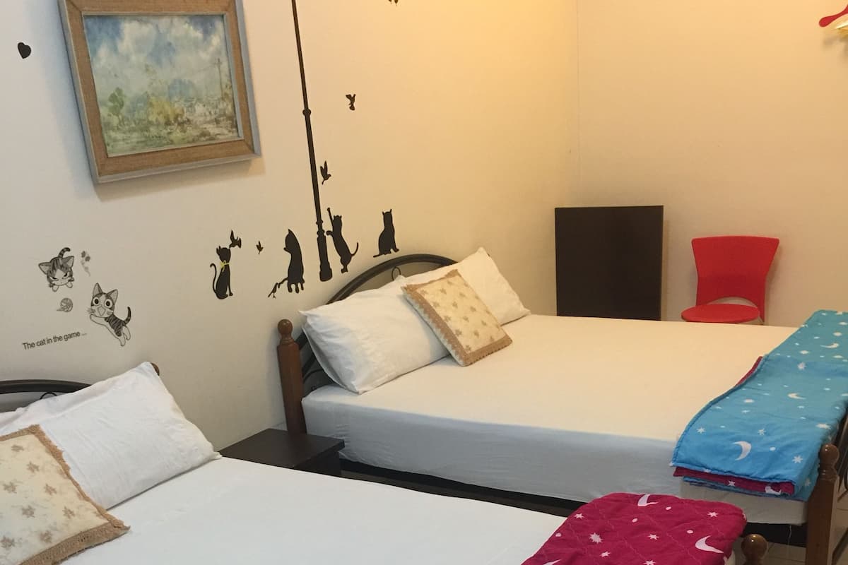 Cortinas blackout y wifi gratis
