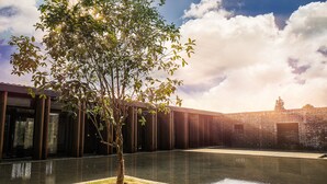 Un área de piscina tranquila con un árbol en el centro, rodeada por un edificio de ladrillo con amplias ventanas.