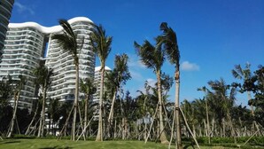 Un hotel modern amb torres cilíndriques i un jardí tropical ple de palmeres.