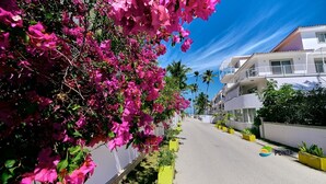 Una calle bordeada de flores de buganvilla, un edificio blanco con balcones y un cielo azul despejado.