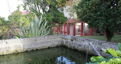 Casa da Bica - rustic house next to the Sanctuary of Bom Jesus