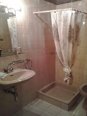 Combined shower/bathtub, hair dryer, bidet, towels