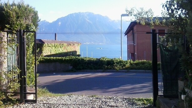 A residential street with a paved road, a gravel driveway, and a view of a lake with mountains in the background.