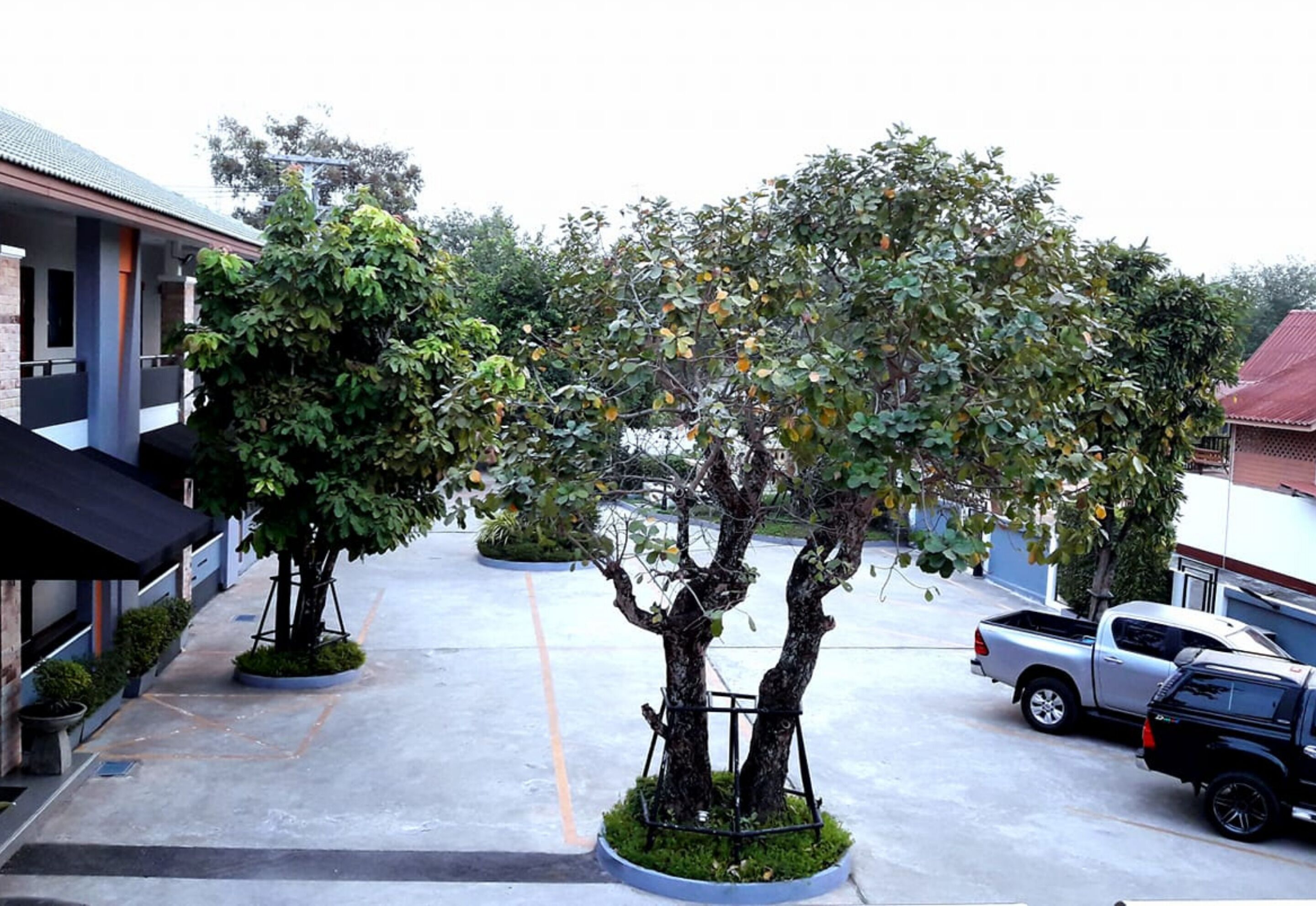 A parking area with two trees, a building with a red roof, and a silver pickup truck.