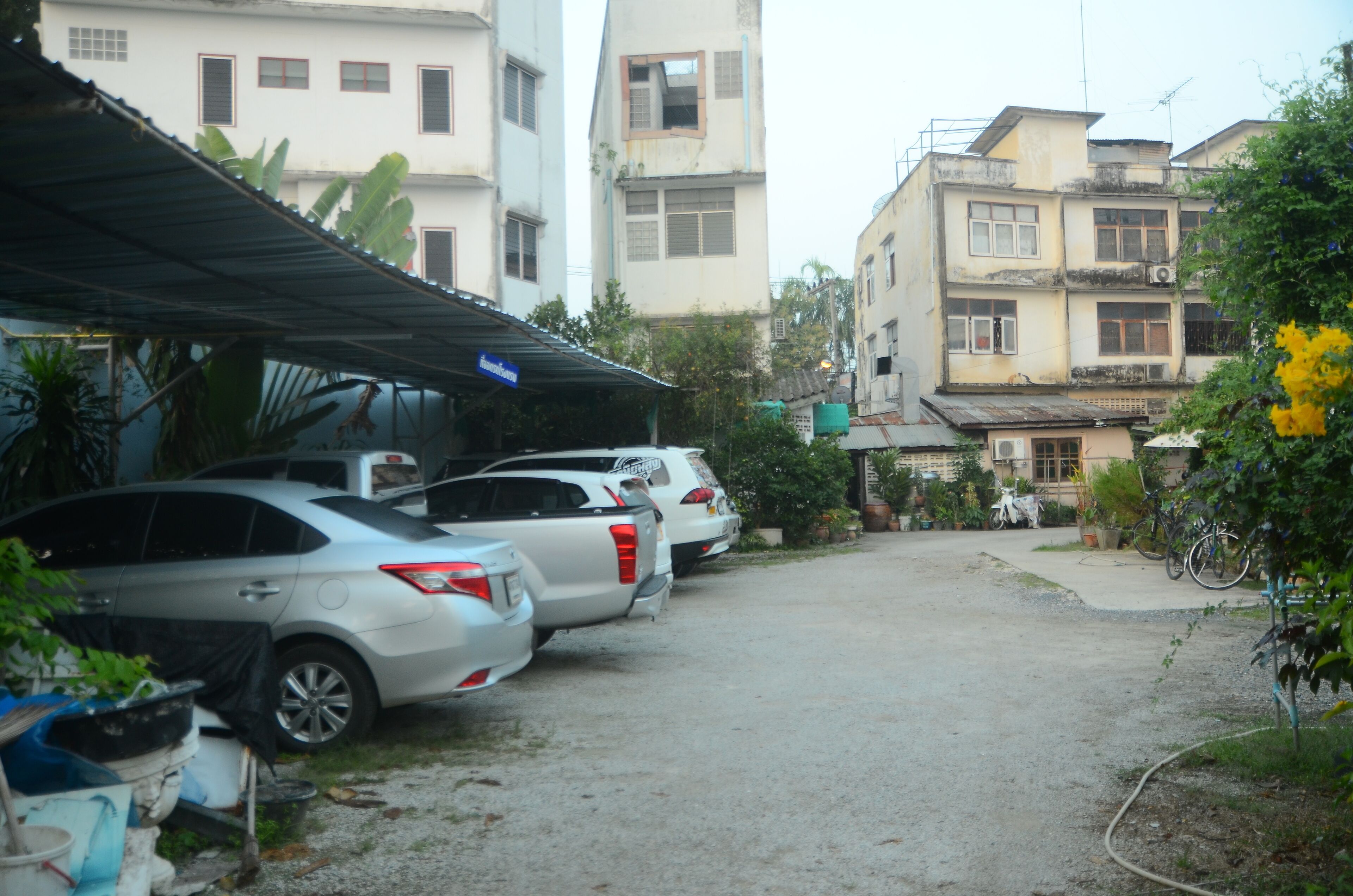 A row of parked cars in a residential area with buildings in the background.