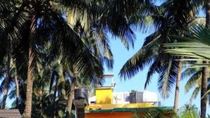 Un camino conduce a un edificio de fachada amarilla, rodeado de palmeras y una zona vallada.