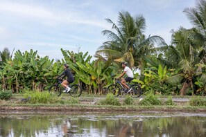 Bicycling - Hideaway Villas Candy - Ubud by Kanaan Hospitality (Ubud)