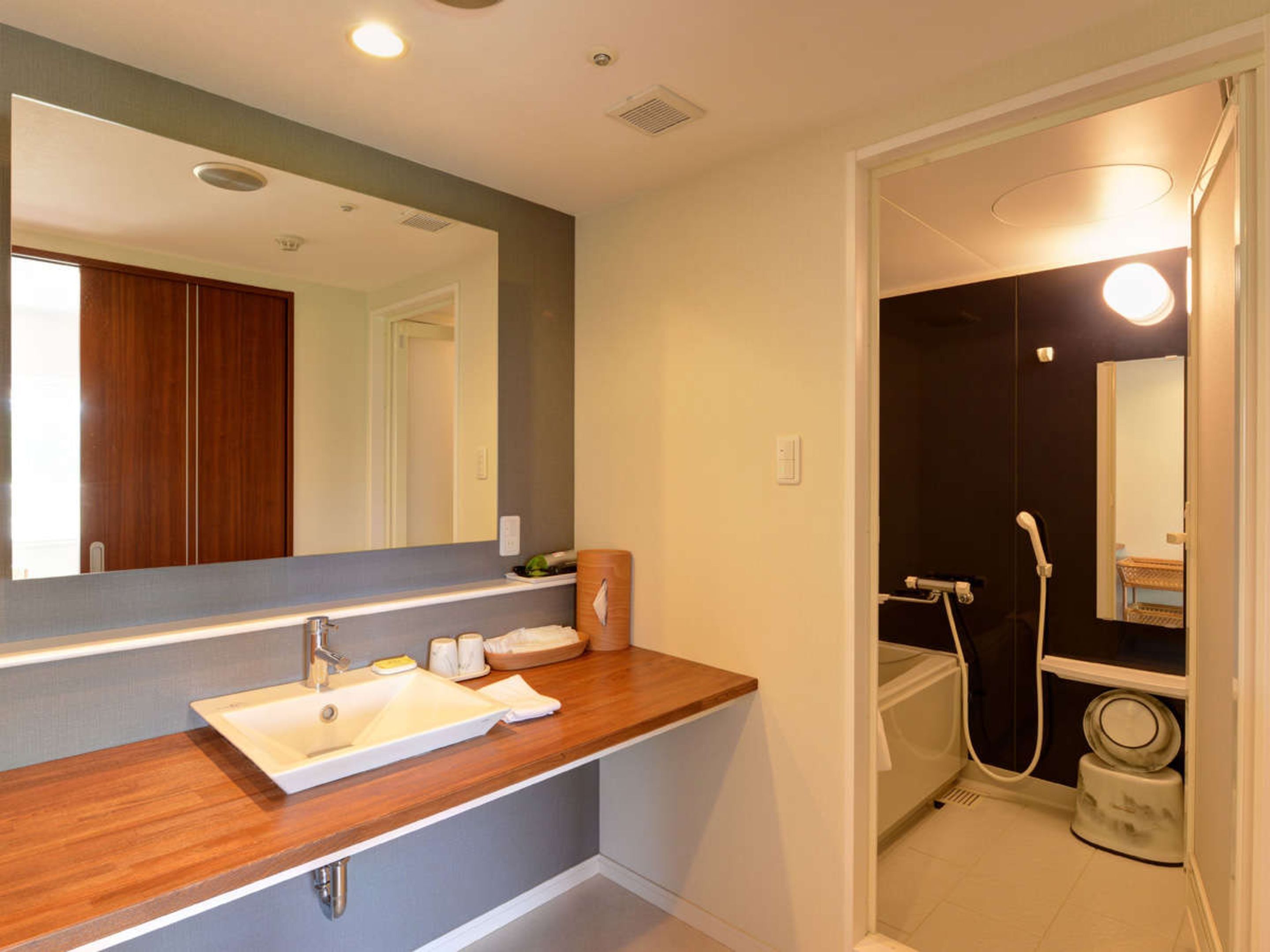 comfort twin room, non smoking, garden view (with tatami area) | bathroom | free toiletries, hair dryer, slippers, bidet