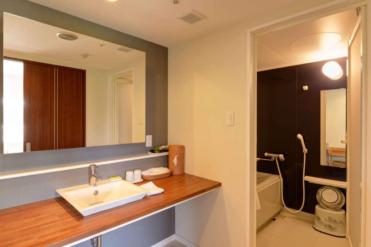 comfort twin room, non smoking, garden view (with tatami area) | bathroom | free toiletries, hair dryer, slippers, bidet