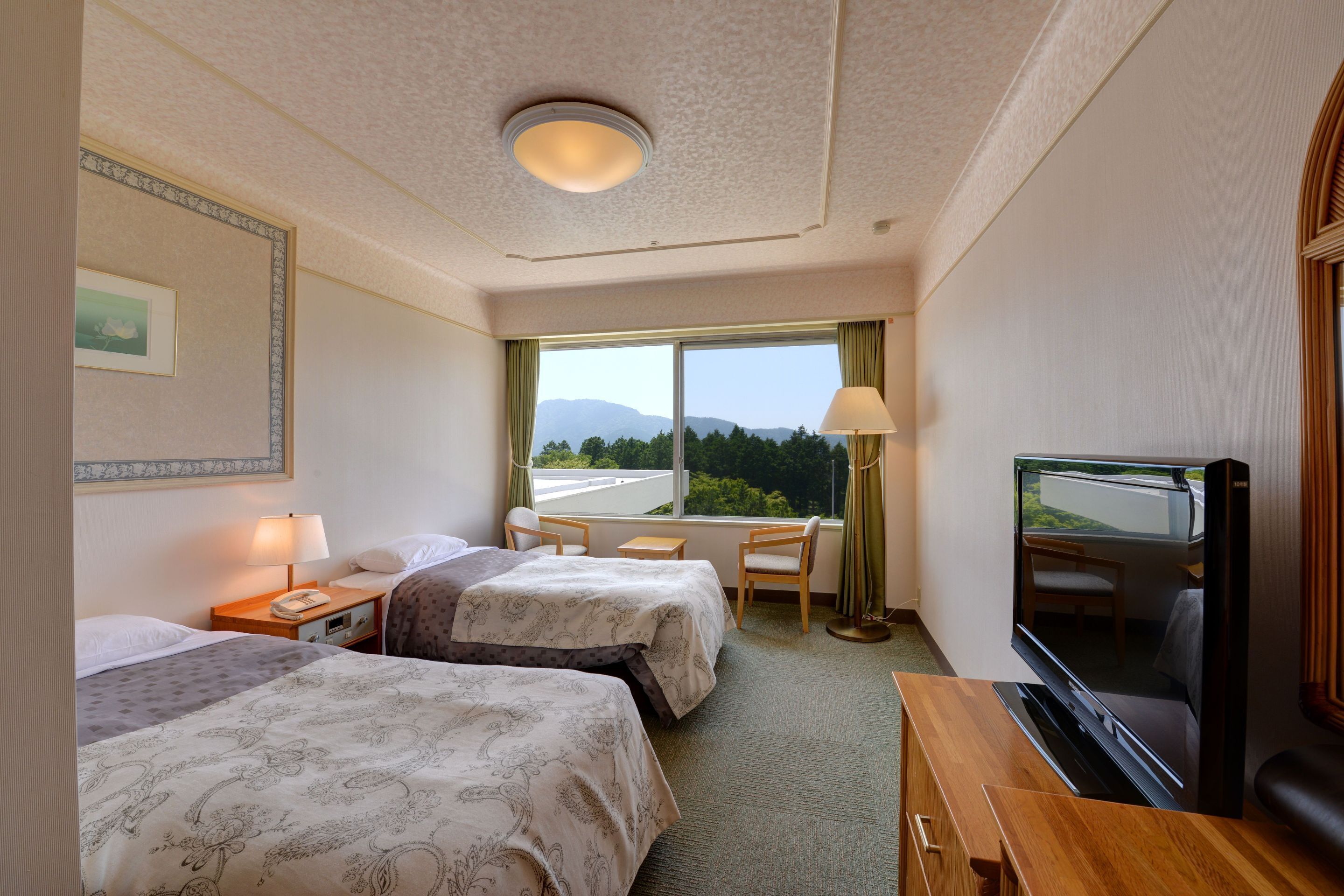 standard twin room, smoking, garden view | desk, free wifi