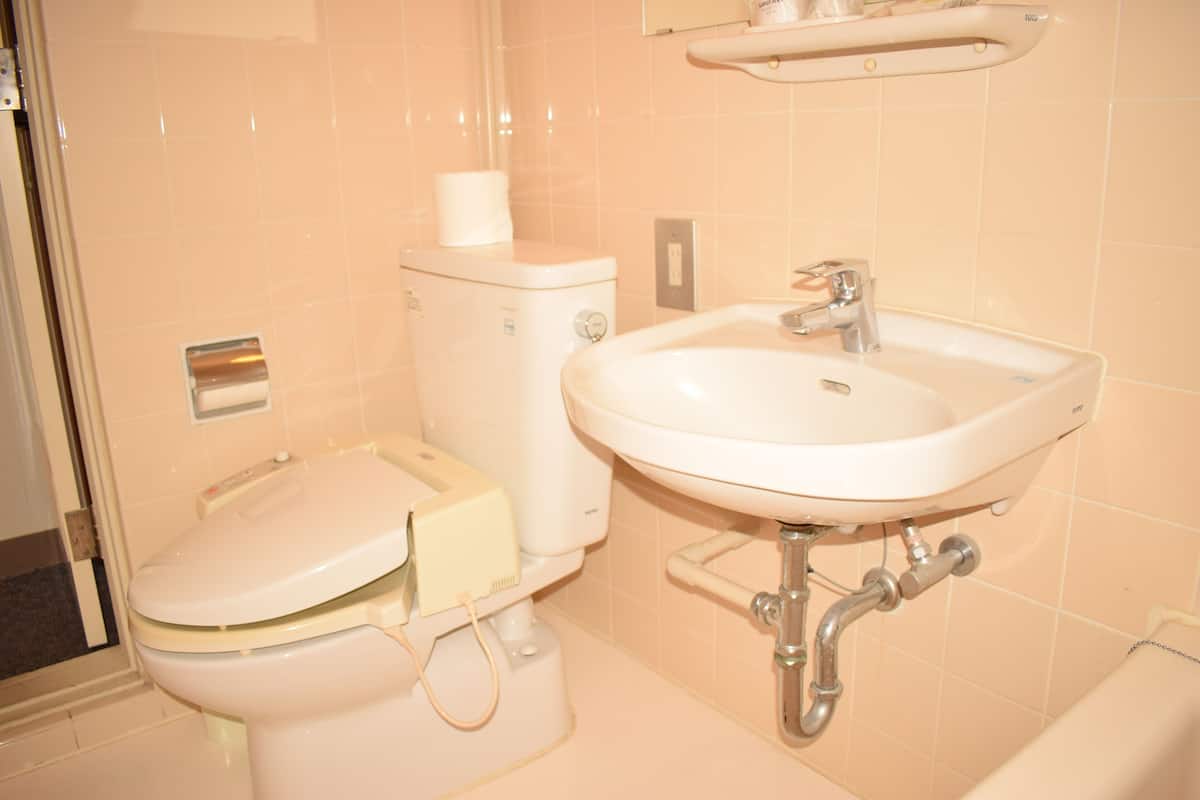 free toiletries, hair dryer, slippers, bidet