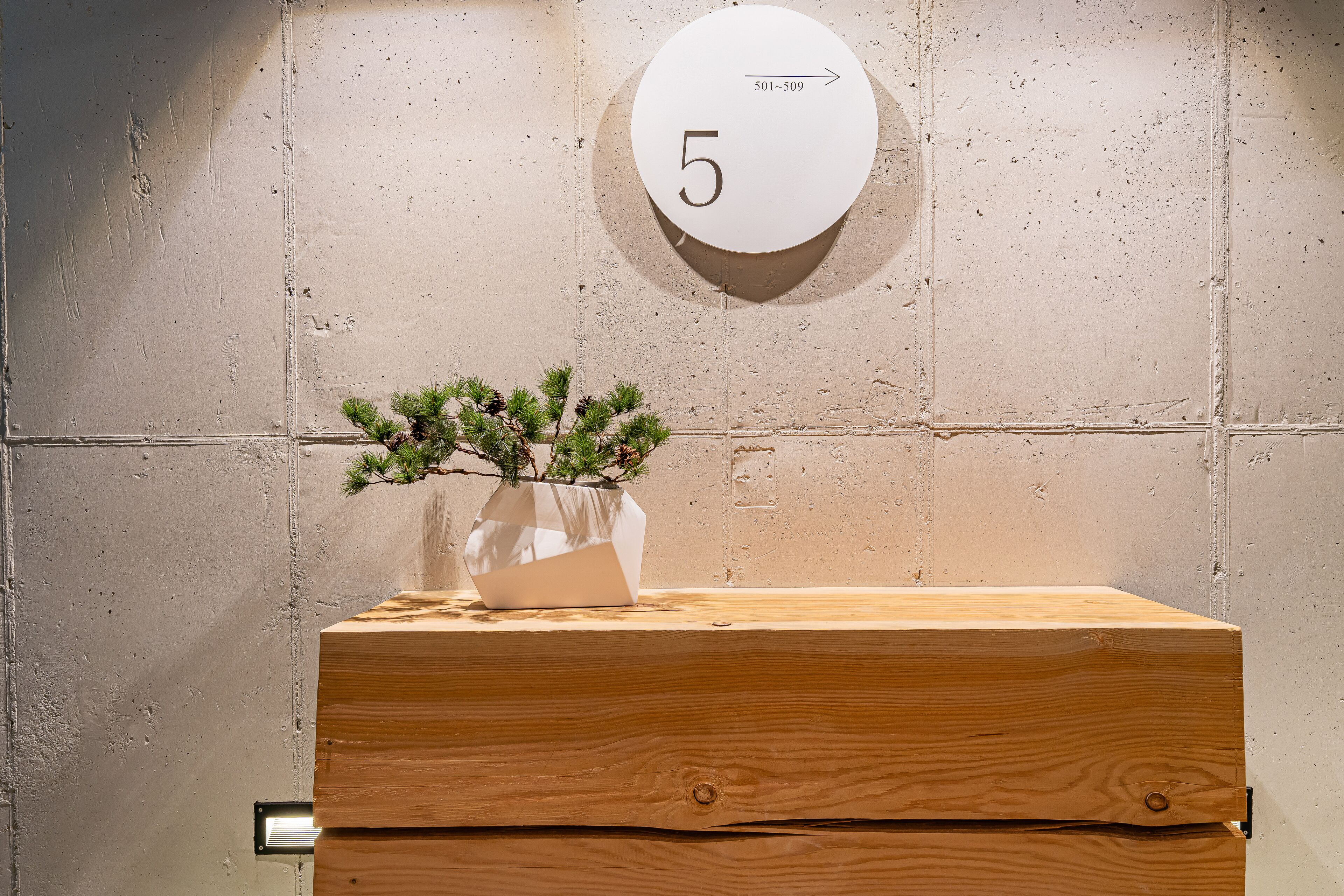 A wooden counter with a potted plant and a round wall clock displaying the number 5.
