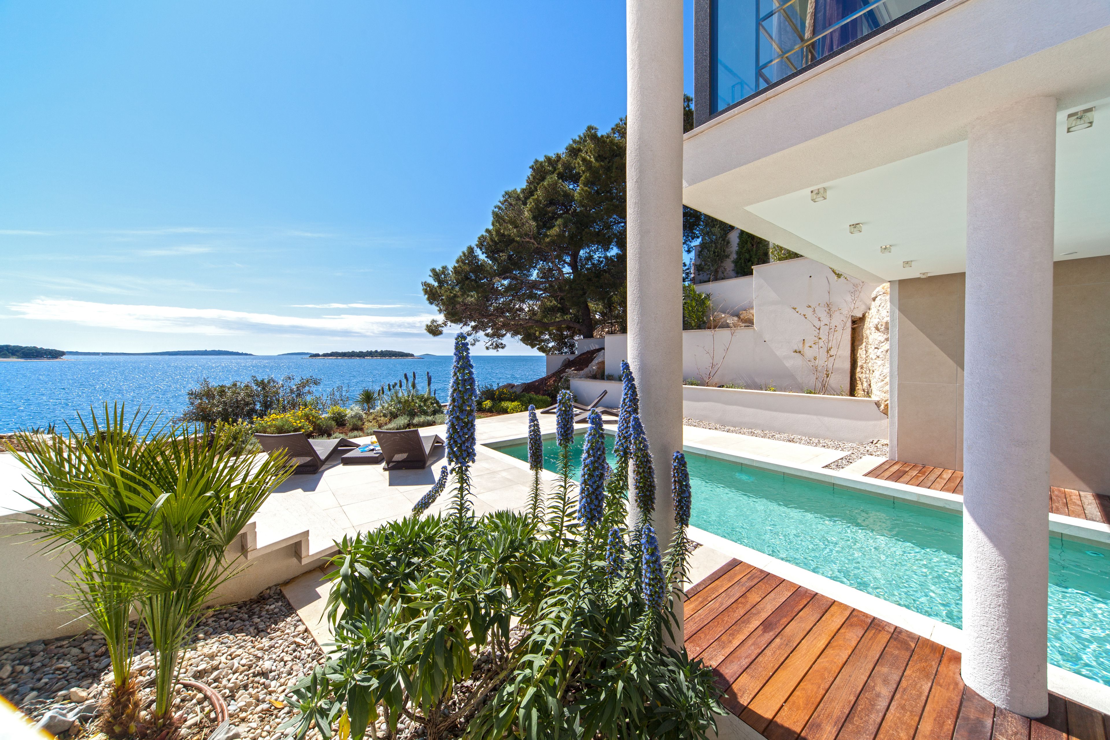 Ein moderner Poolbereich im Freien mit Blick auf das Meer, umgeben von Pflanzen und Holzdecks.