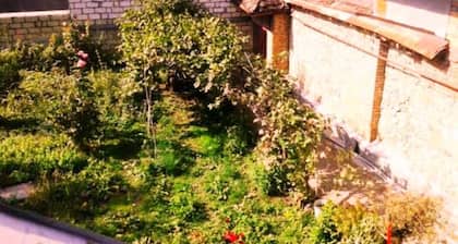 Ilgars Guesthouse