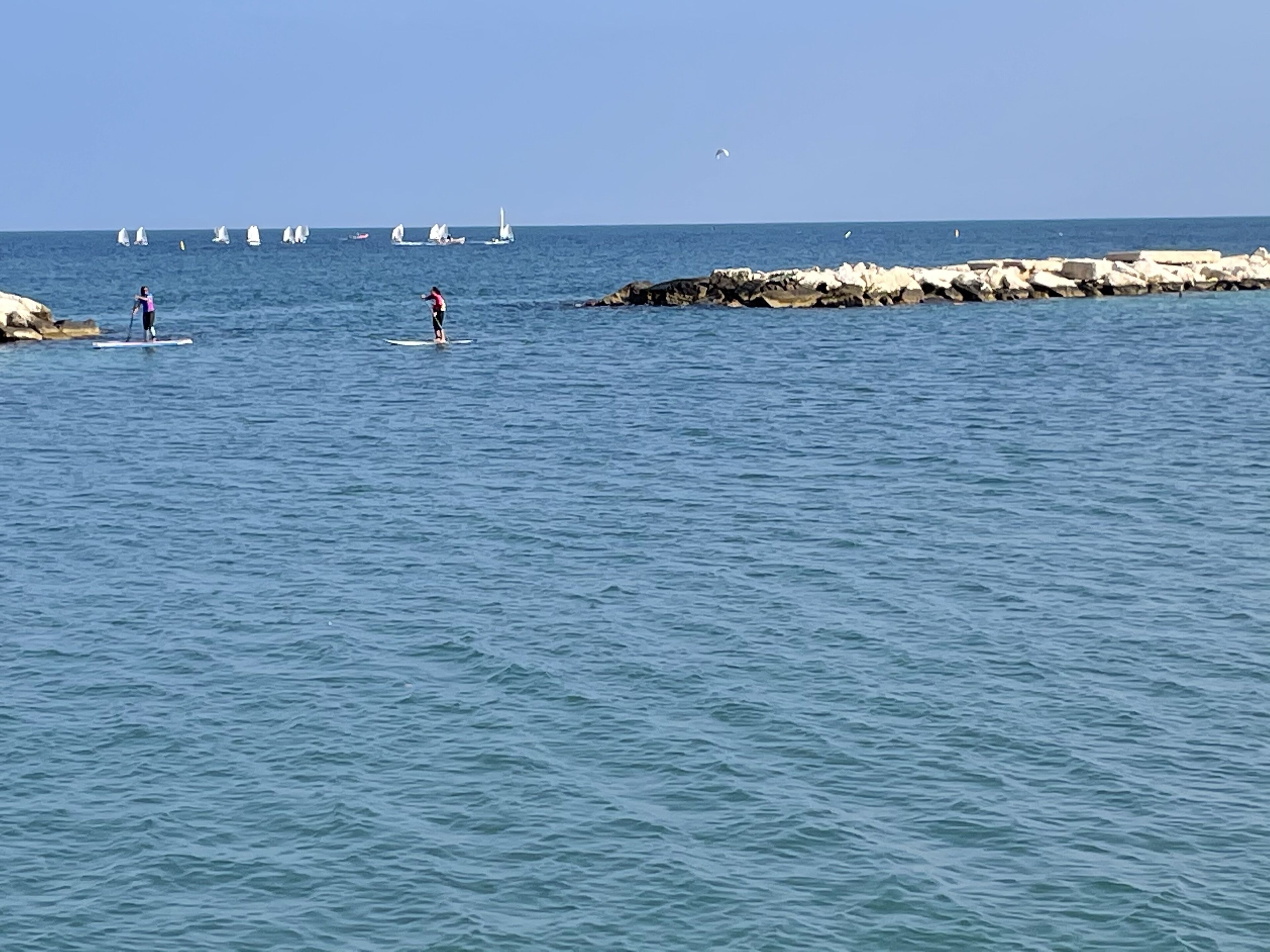 Photo - ROOM 110 BARI -guesthouse-