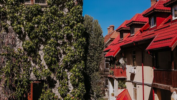 Une rue étroite, bordée d’immeubles recouverts de lierre et coiffés de toits rouges.