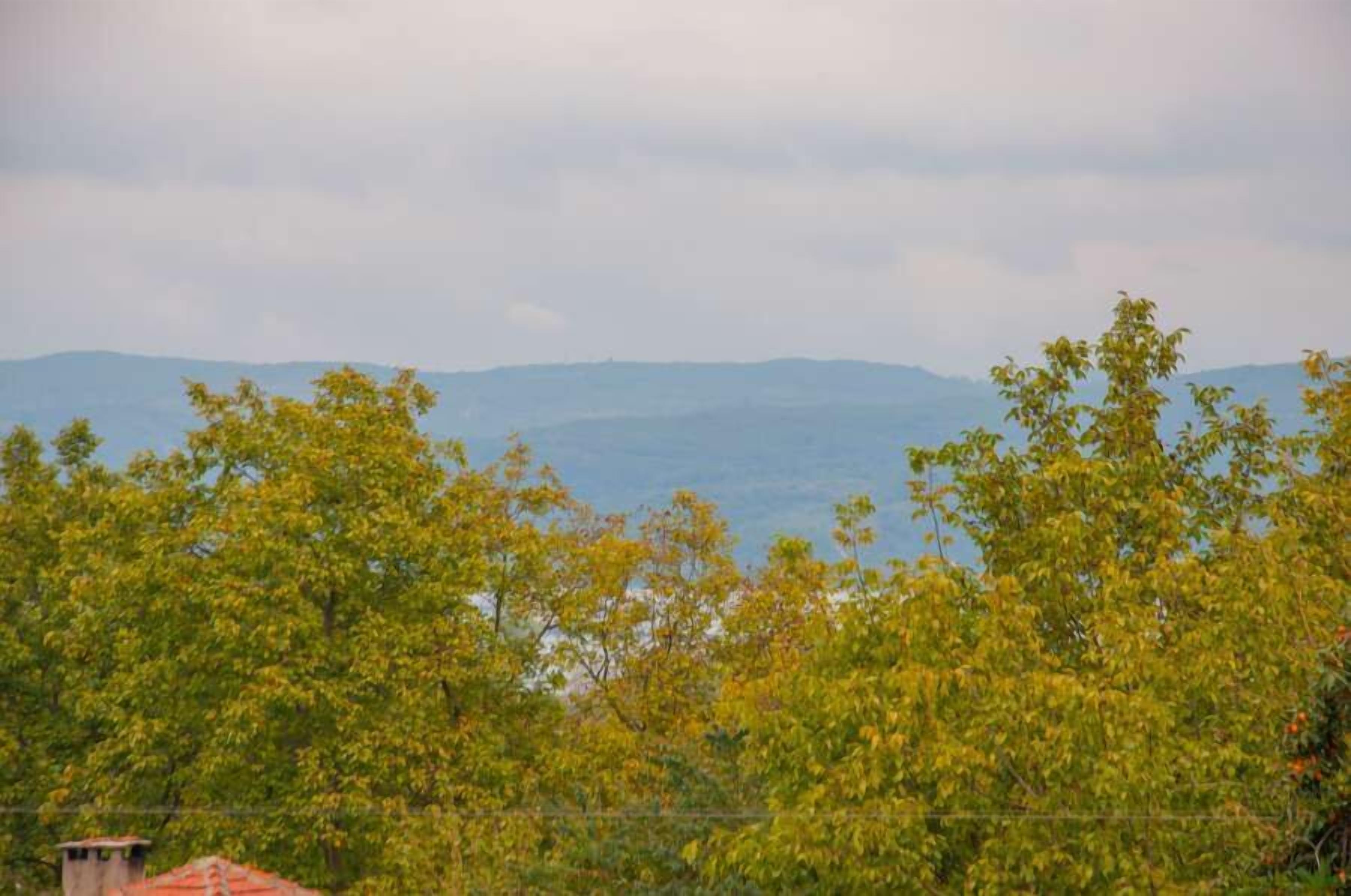 standard room, 1 queen bed, mountain view | mountain view