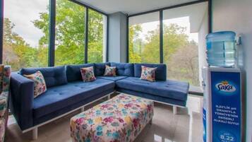 Standard Room, 1 Queen Bed, Mountain View | Living area