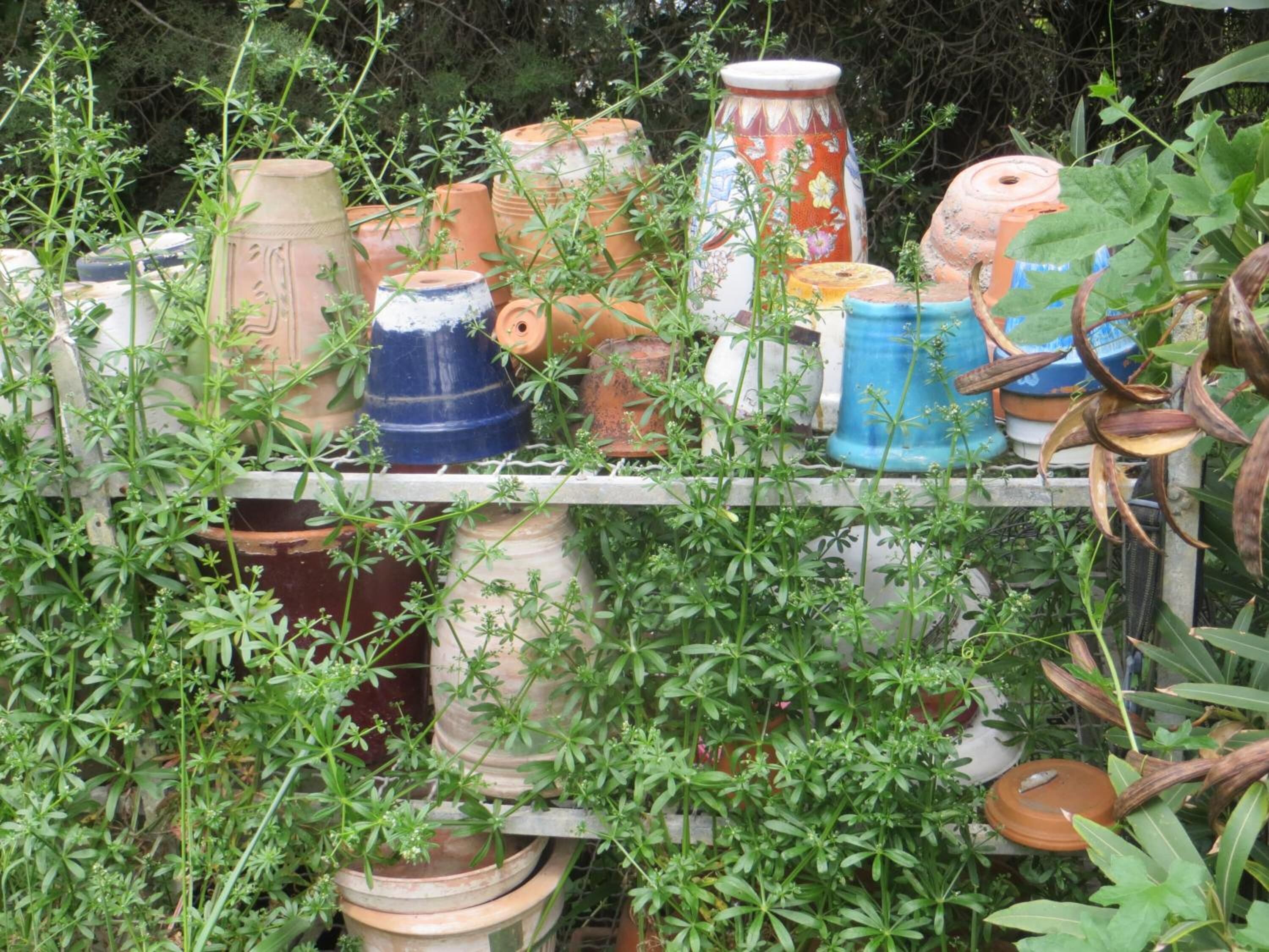 Foto - Mas de L'Ermitage