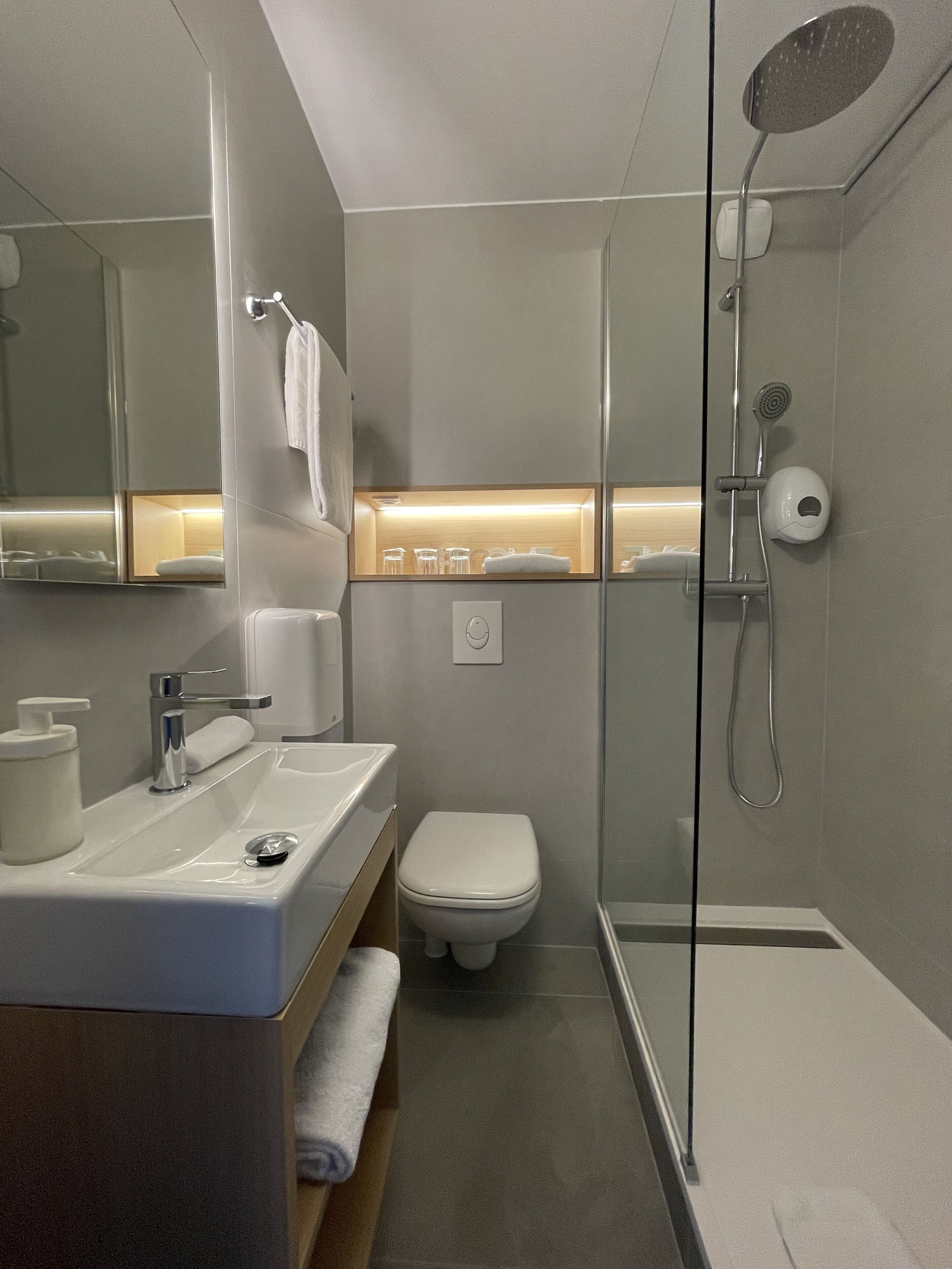 A modern bathroom with a glass shower enclosure, a white sink with a soap dispenser, and a toilet.