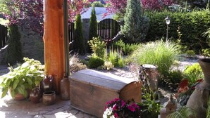 Un patio abrité avec un banc en bois, des plantes en pot et un chemin en pierre.