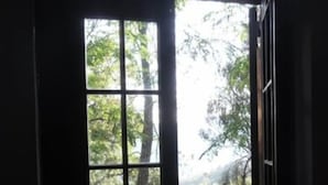 A view through a window with a grid pattern, leading to an outdoor area with trees and a wooden structure. - Le Dieci Querce (Tortorella)