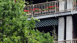 Un immeuble à plusieurs étages doté de balcons ornés de plantes et de fleurs en pot.
