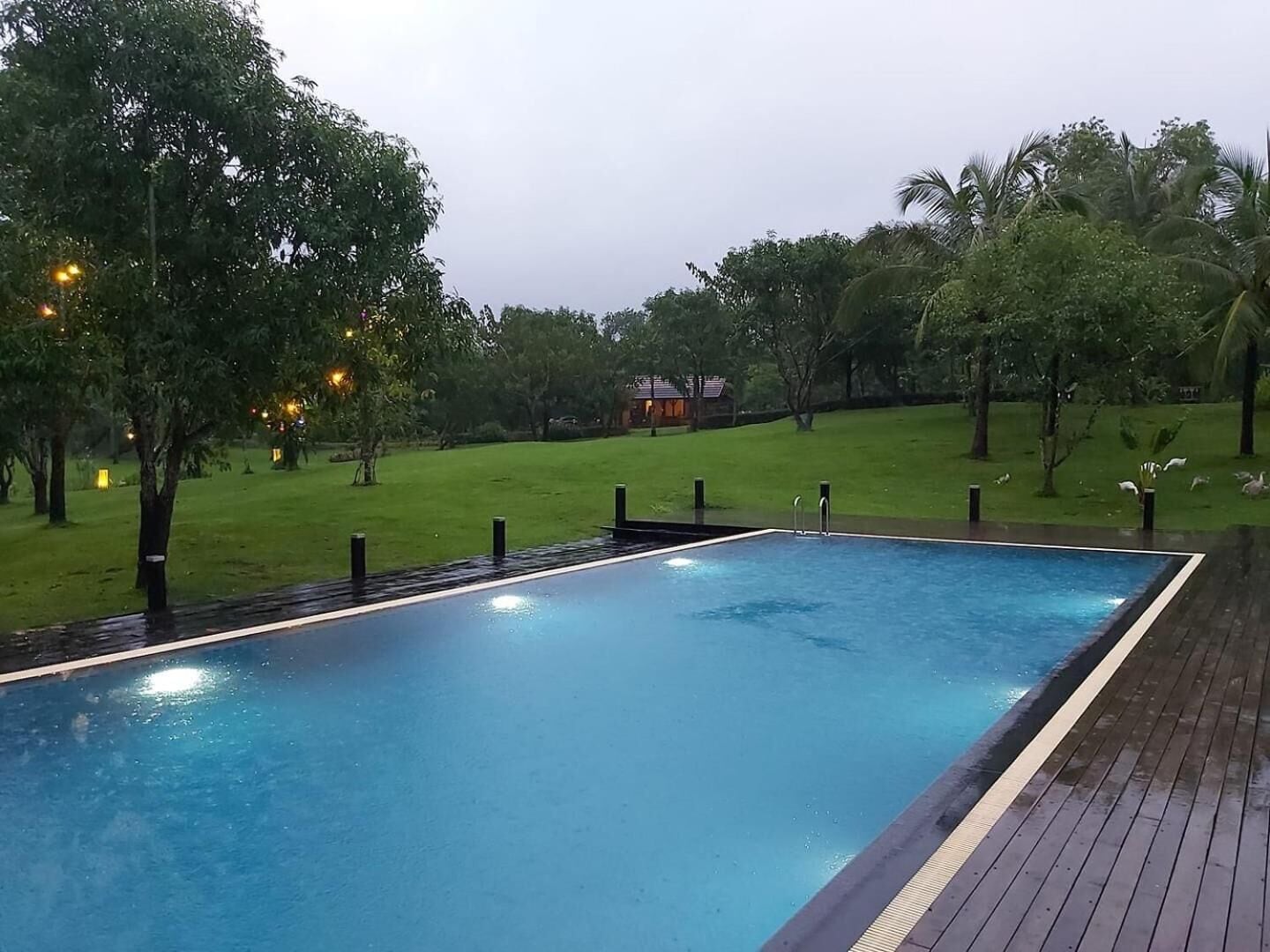 Una piscina rectangular con un borde de madera, con árboles y una colina cubierta de hierba al fondo.