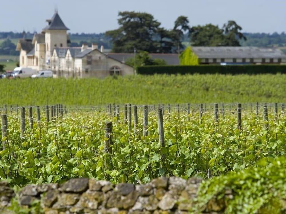 Château Soucherie by null