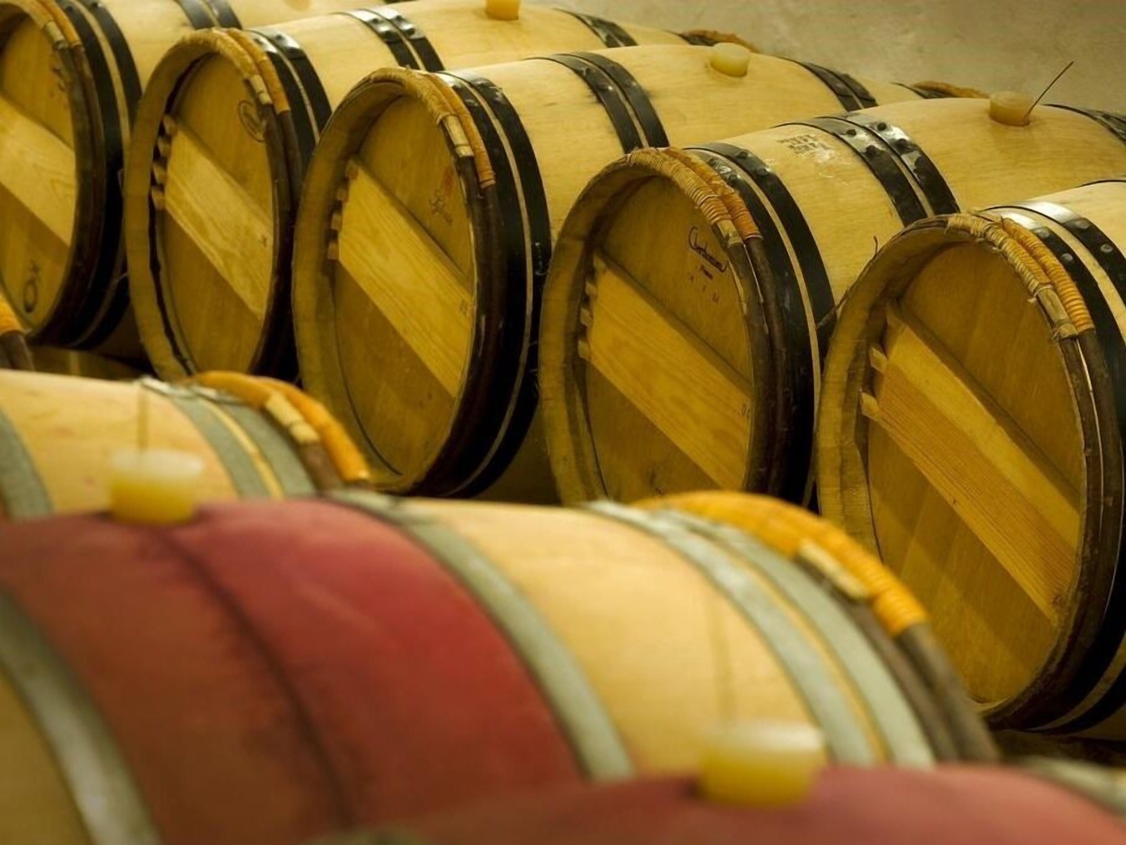 Wooden barrels arranged in rows, likely used for aging wine or spirits.