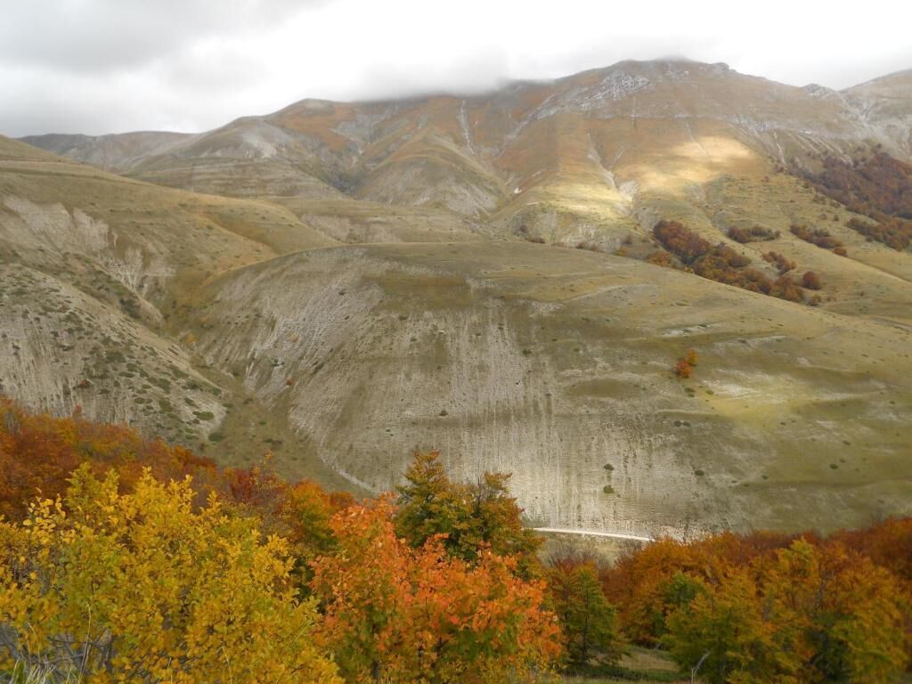 A mountainous landscape with autumn foliage.