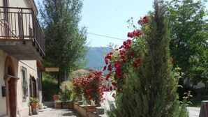 A paved pathway lined with potted plants and flowers, leading to a building with a balcony. - Agriturismo Monti Sibillini Camperato (Preci)