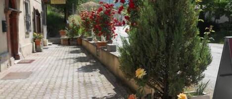Un sendero pavimentado bordeado de plantas y flores en macetas, que conduce a un edificio con balcón.