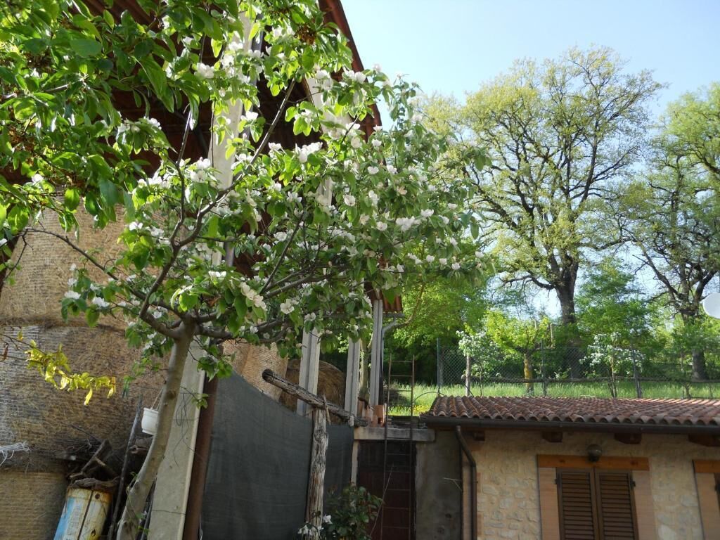 A rustic building with a stone facade, a tiled roof, and a garden with flowering trees.