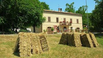 Details aan de buitenkant